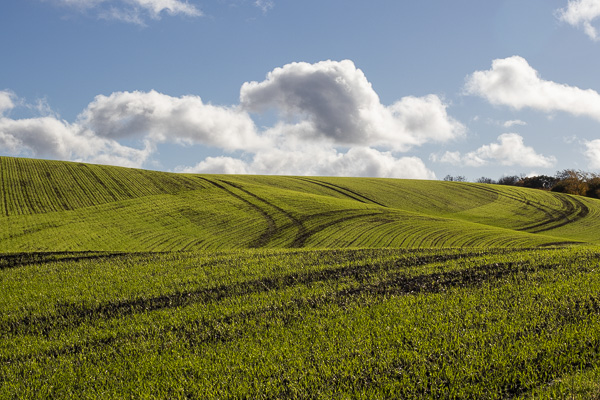 a black door with black handrails in front, and one stone step.  A light in the shape of a lantern with the number 78 on it is above the door, and there are three small panels in the door with three white downwards facing triangles.